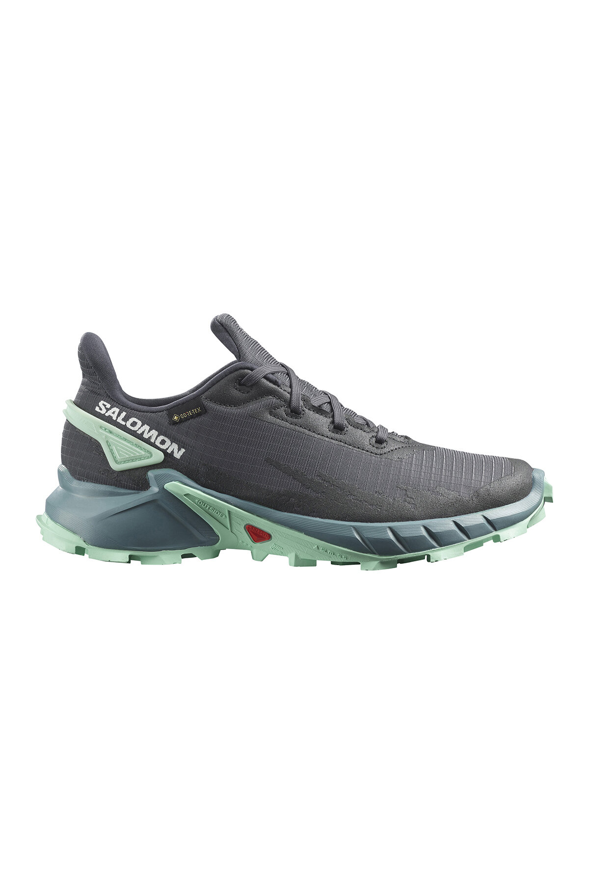 Salomon Alphacross 4 Gore-Tex Kadın Ayakkabı L47066800