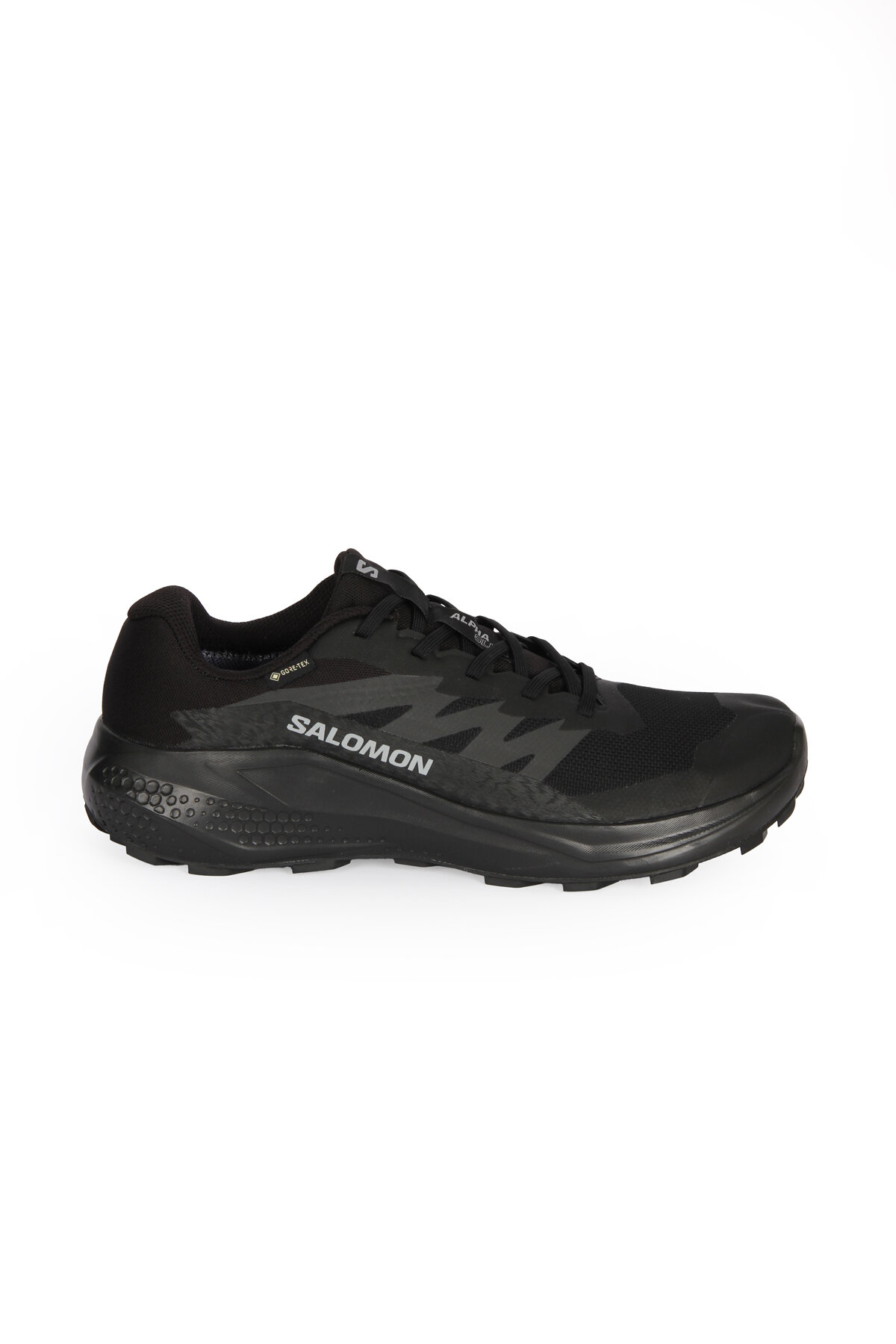Salomon Alphaglide Gore-Tex Erkek Ayakkabı L47802100 5379