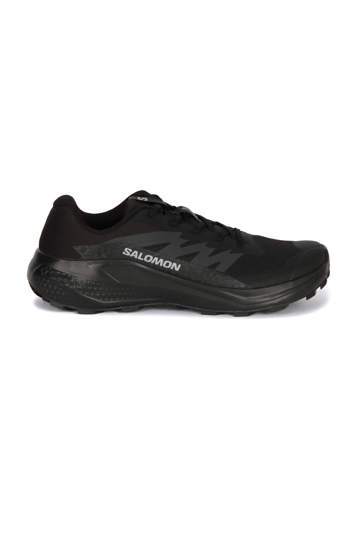 Salomon Alphaglide Erkek Ayakkabı L47948300 5379