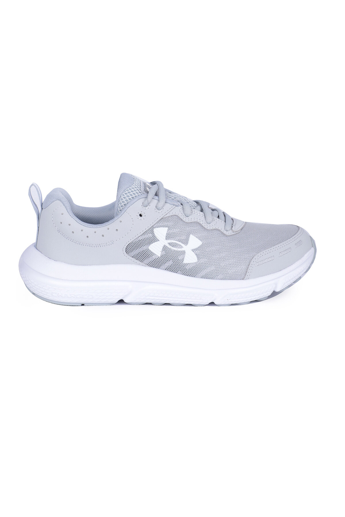 Under Armour Charged Assert 10 Erkek Ayakkabı 3026175-102