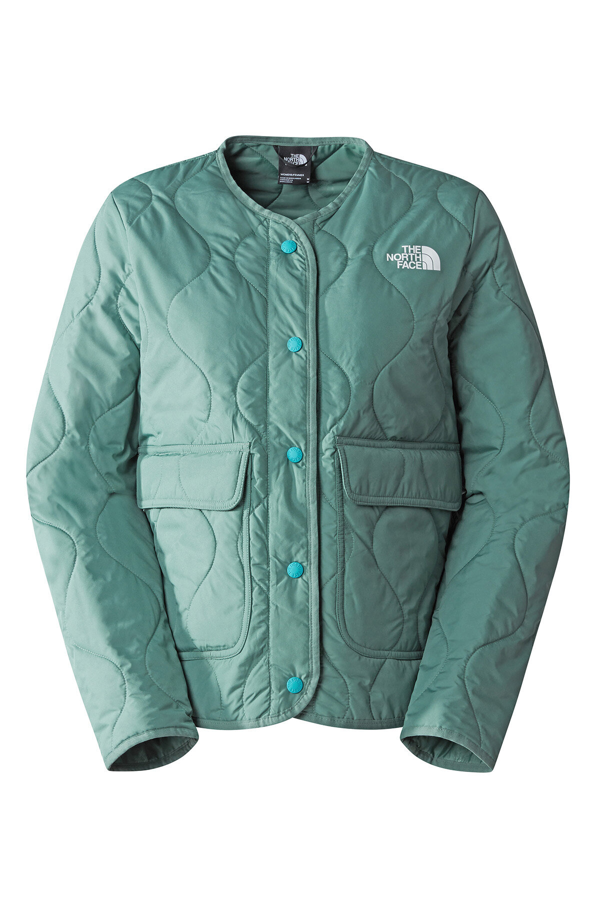 The North Face Kadın Ceket NF0A83IDI0F1