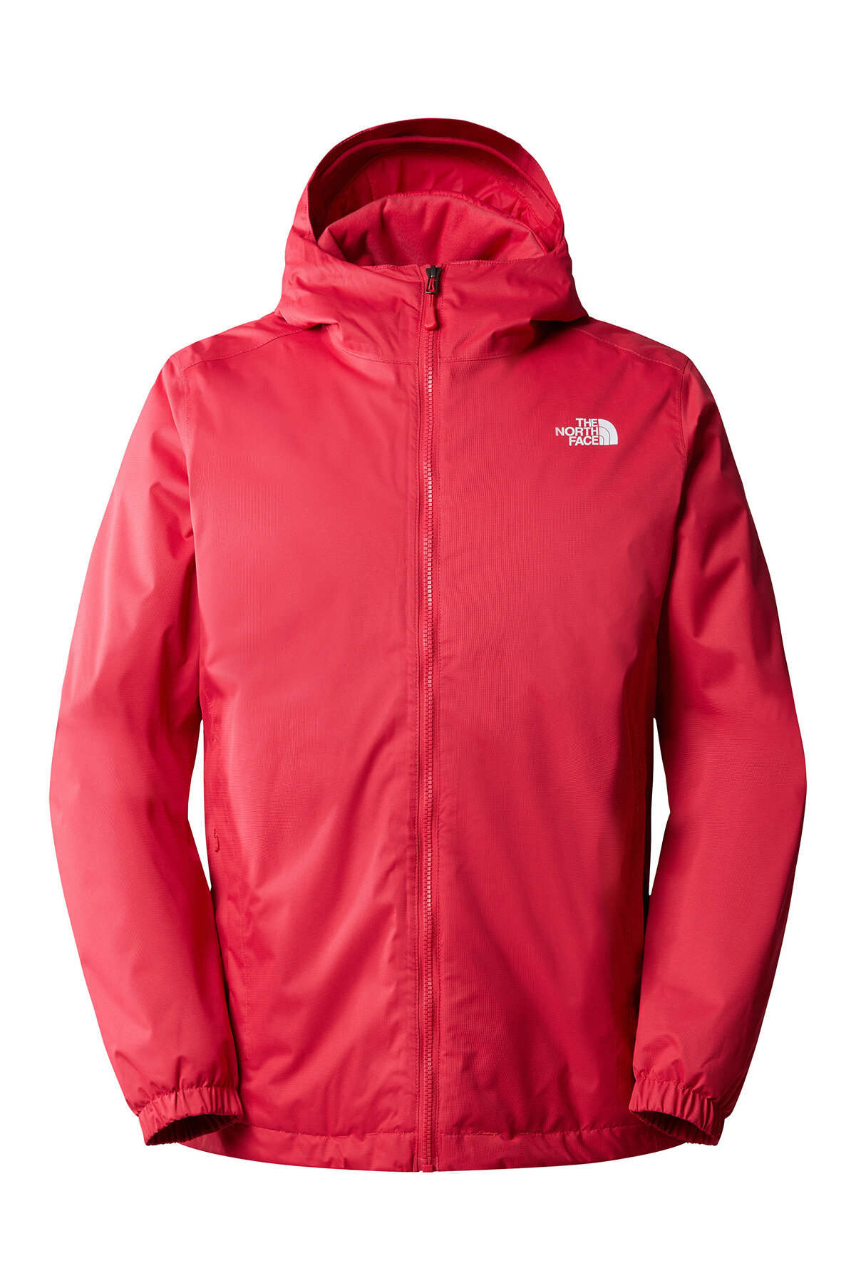 The North Face Erkek Ceket NF00C302JIM1