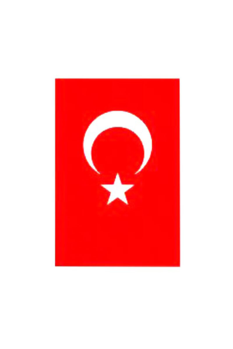 Ayyıldız Türk Bayrak 60x90 cm Bez