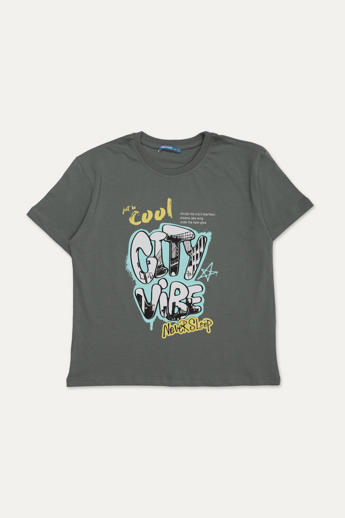 Funfair Erkek Çocuk Tişört 2516210009