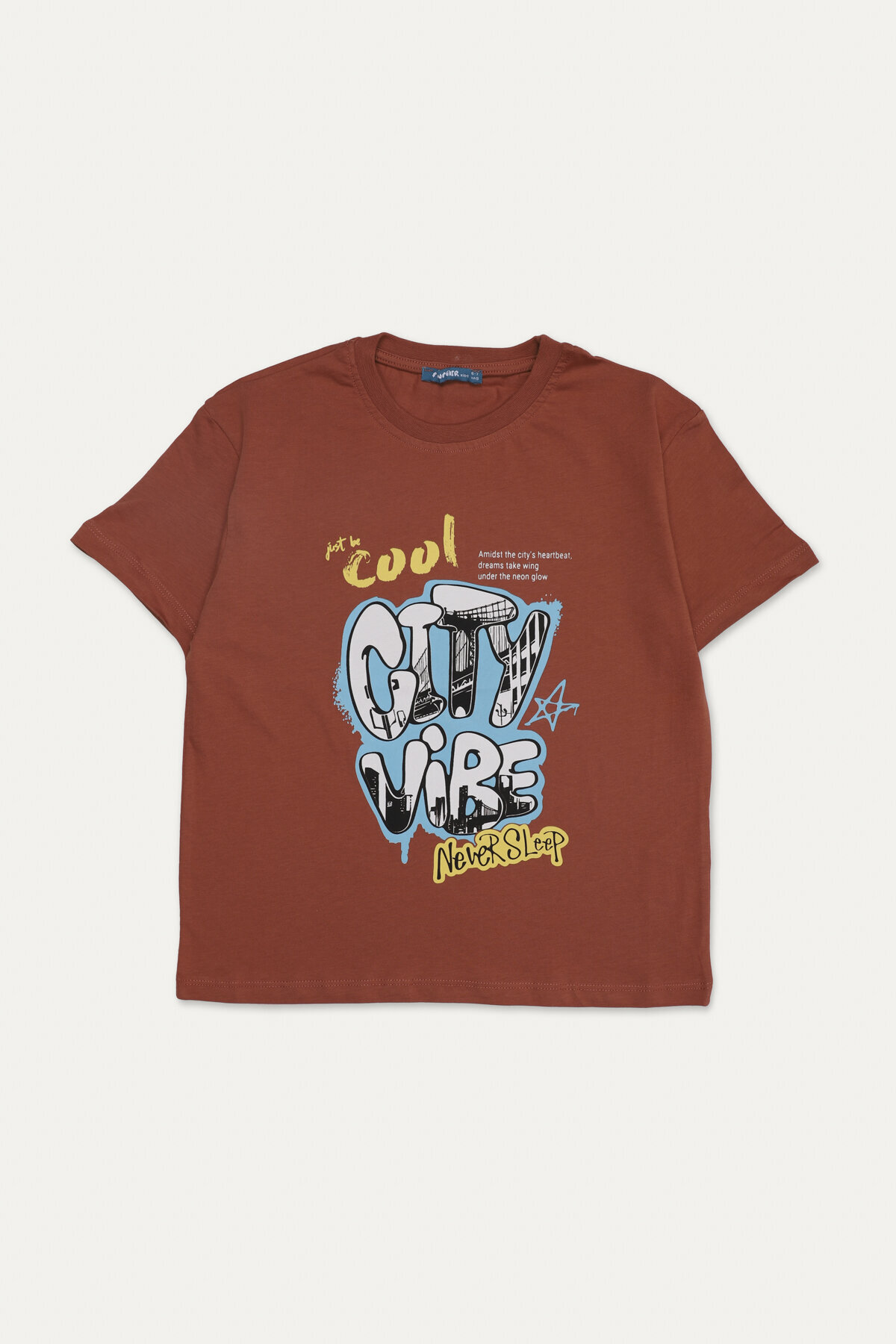 Funfair Erkek Çocuk Tişört 2516210009