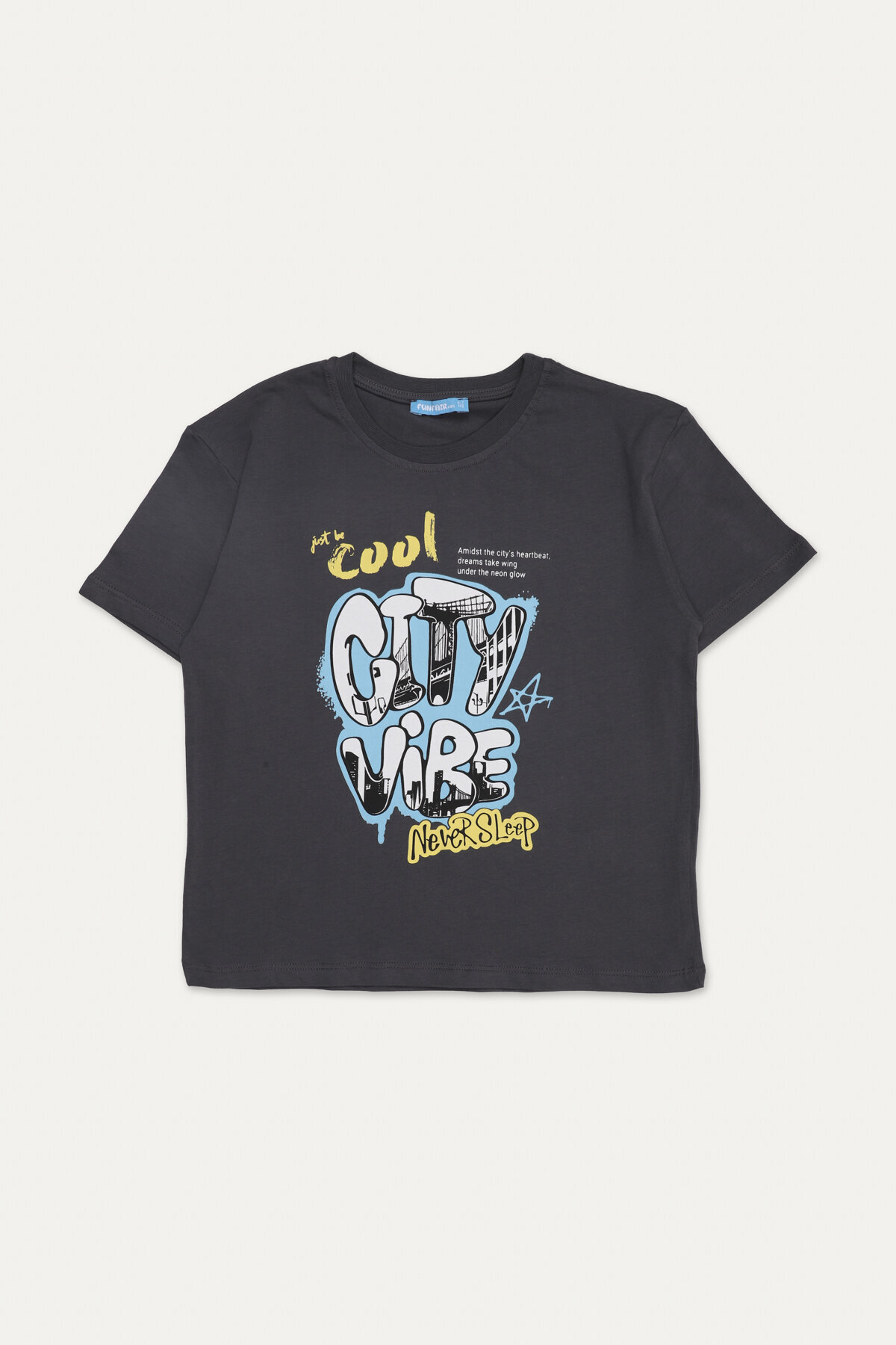 Funfair Erkek Çocuk Tişört 2516210009