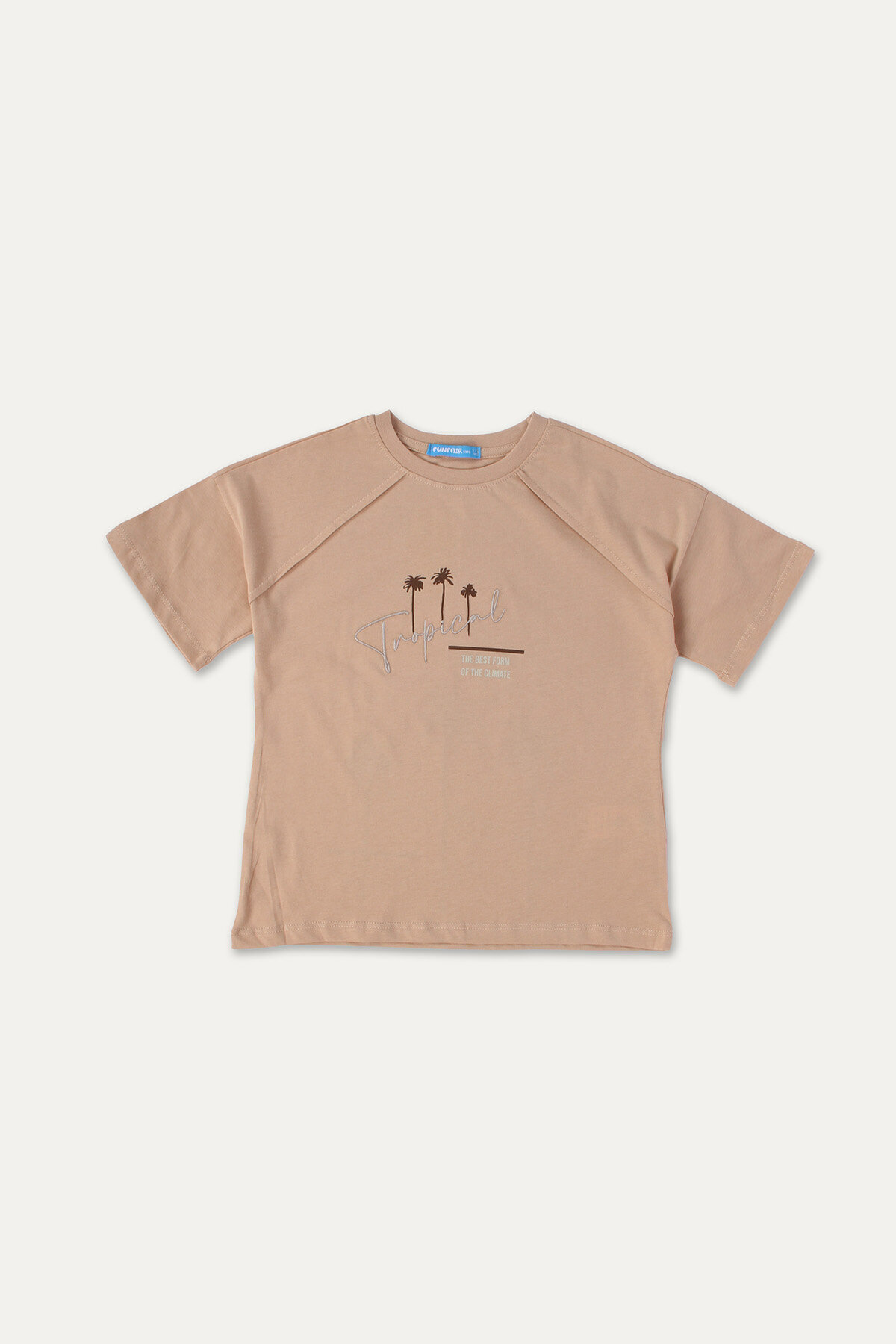 Funfaır Erkek Çocuk Tişört 2516210035.12217