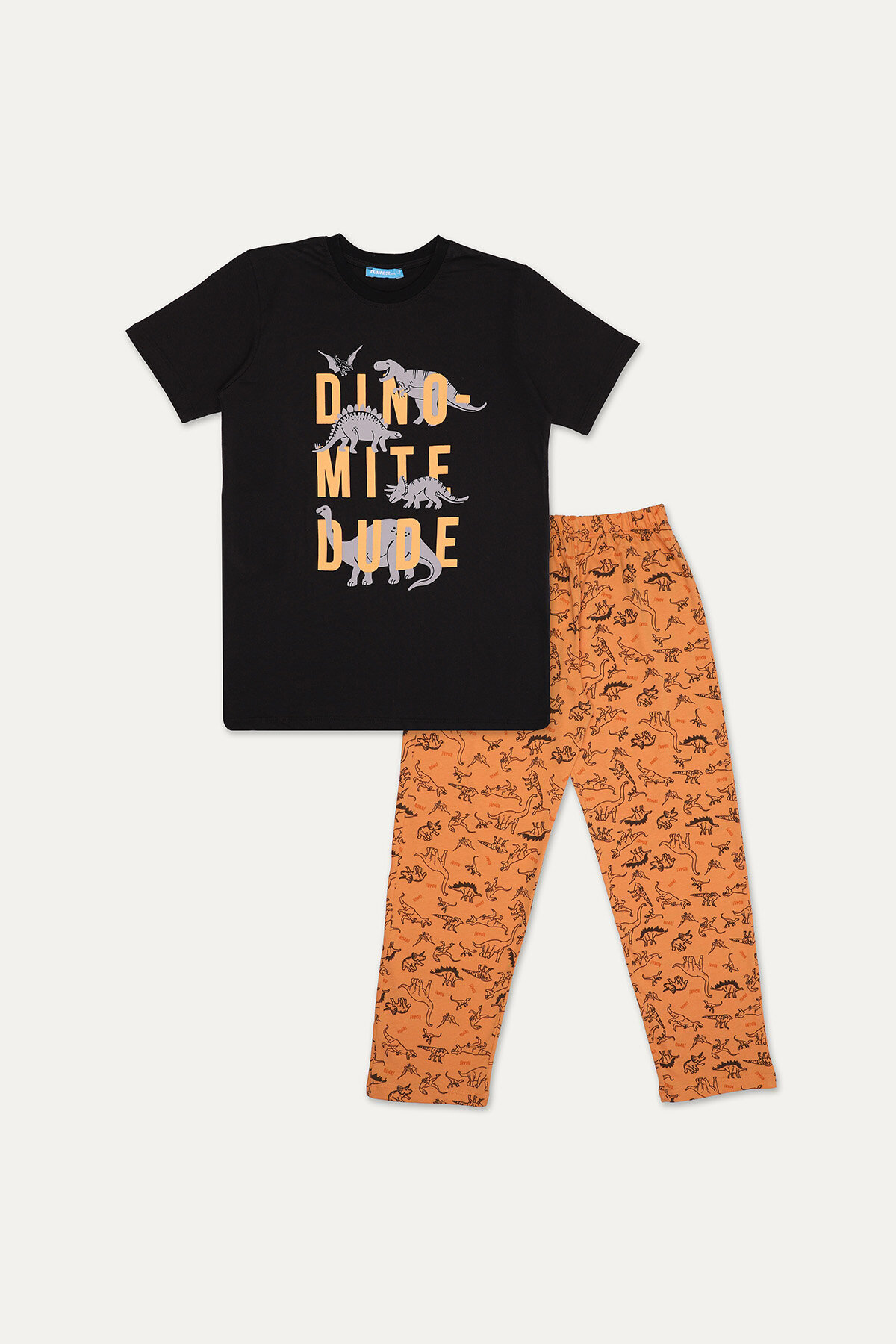 Funfair Erkek Çocuk Kısa Kollu Baskılı Pijama Takımı 251EC10PL