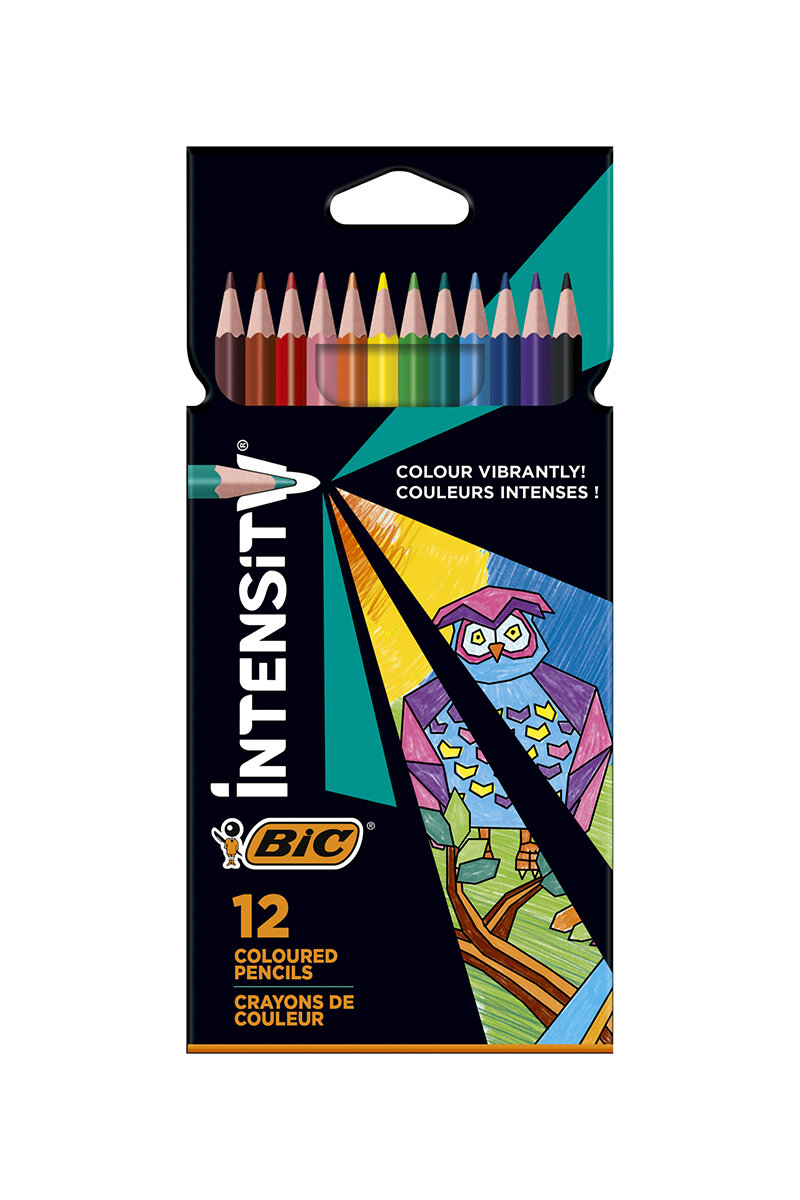BIC Color Up Kuru Boya Kalemi 12'li Kutu