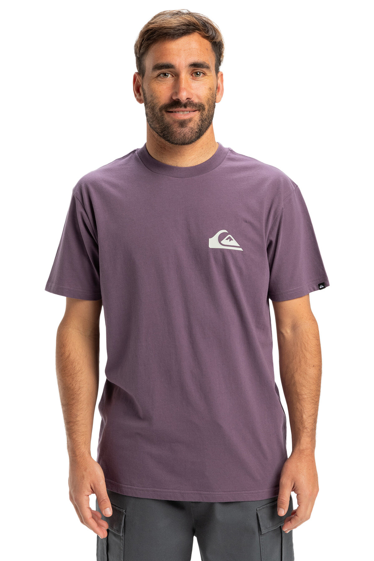 Quiksilver Erkek Tişört EQYZT08042-PQC0