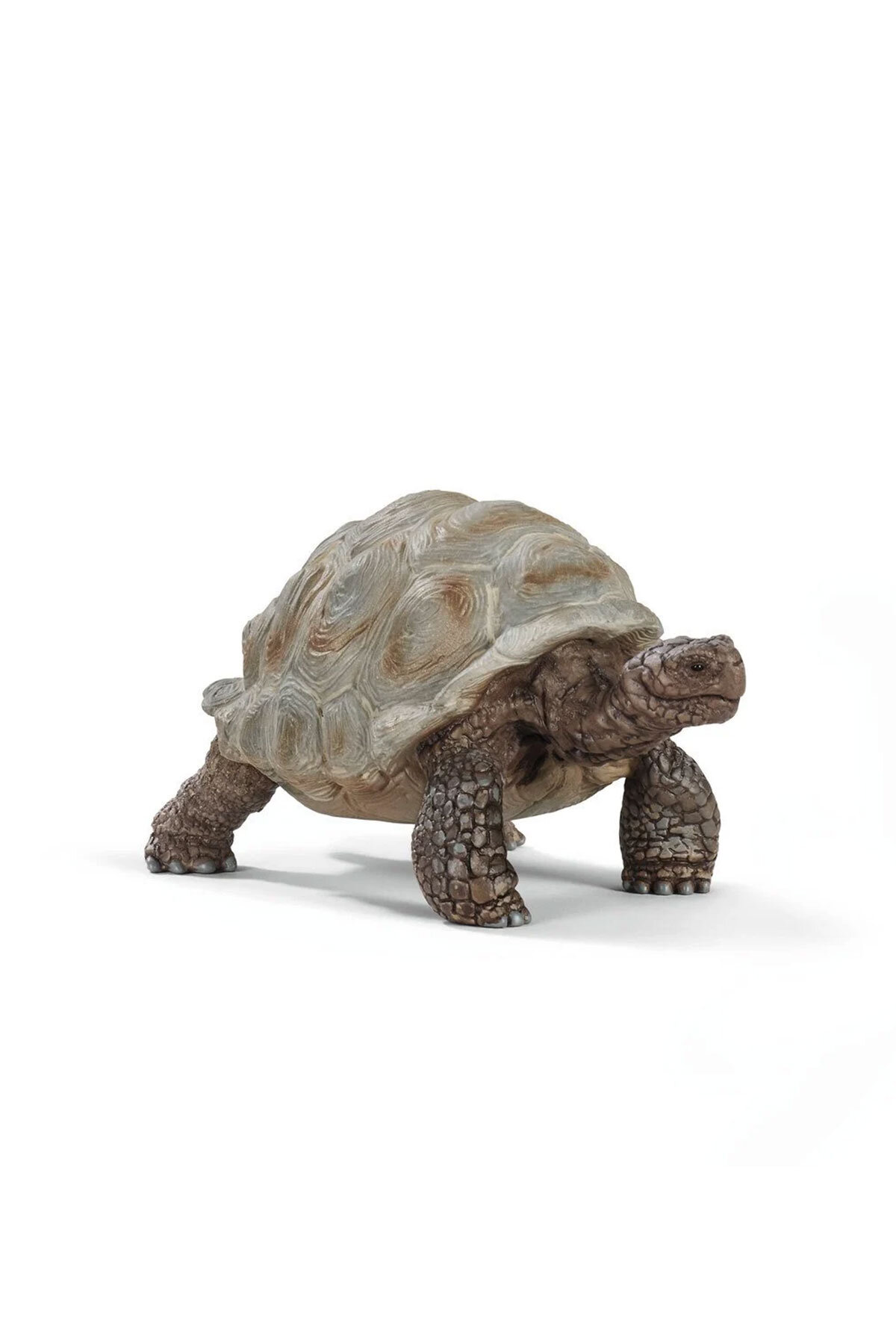 Schleich Dev Tosbağa 14824