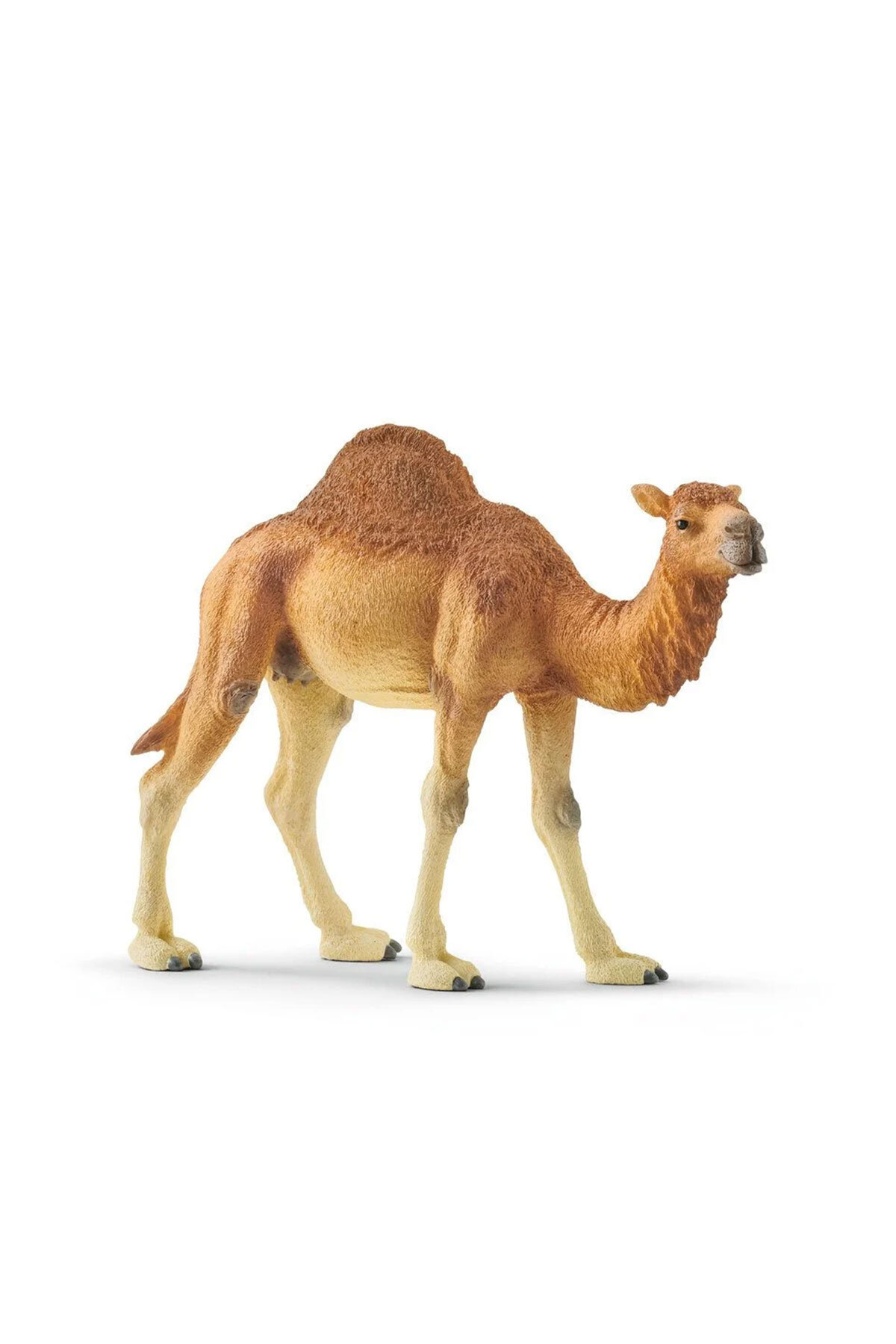 Schleich Hörgüçlü Deve 14832