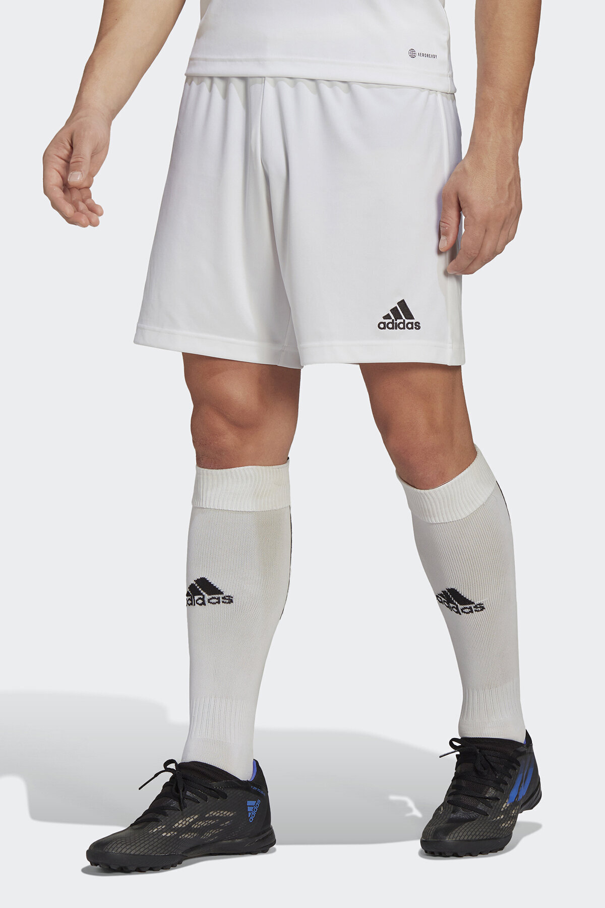 adidas Erkek Şort HG6295