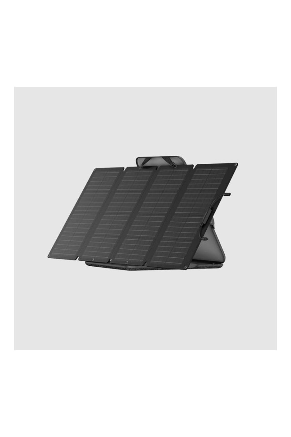 EcoFlow 160W Taşınabilir Güneş Paneli EFSOLAR160W