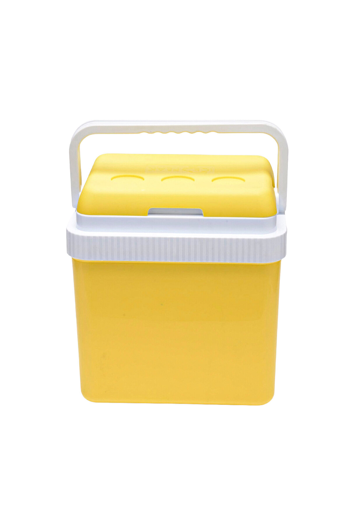 Icepeak Buzluk Taşıma Çantası 26 L Sf 26