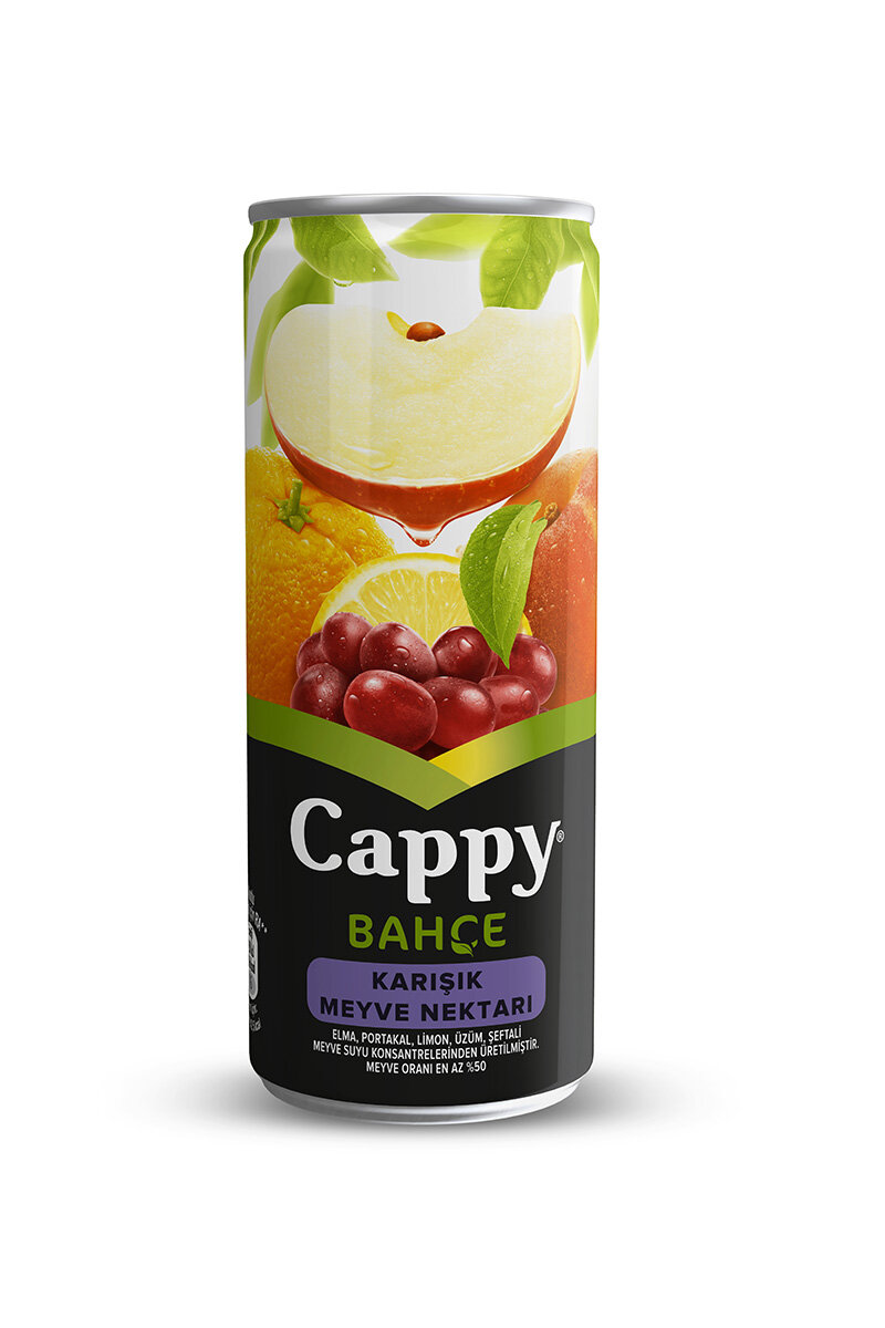 Cappy Karışık Nektar 250 ml