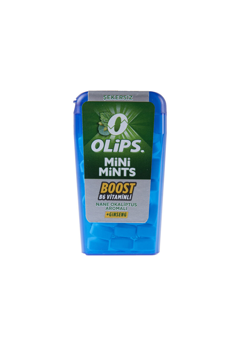 Kent Olips Mini Mints Nane Okaliptus 12,5 G