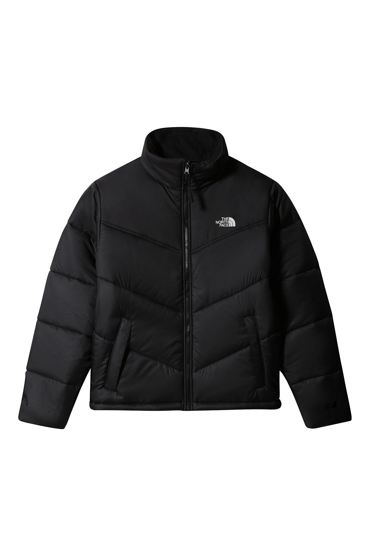 The North Face Erkek Ceket NF0A2VEZJK31
