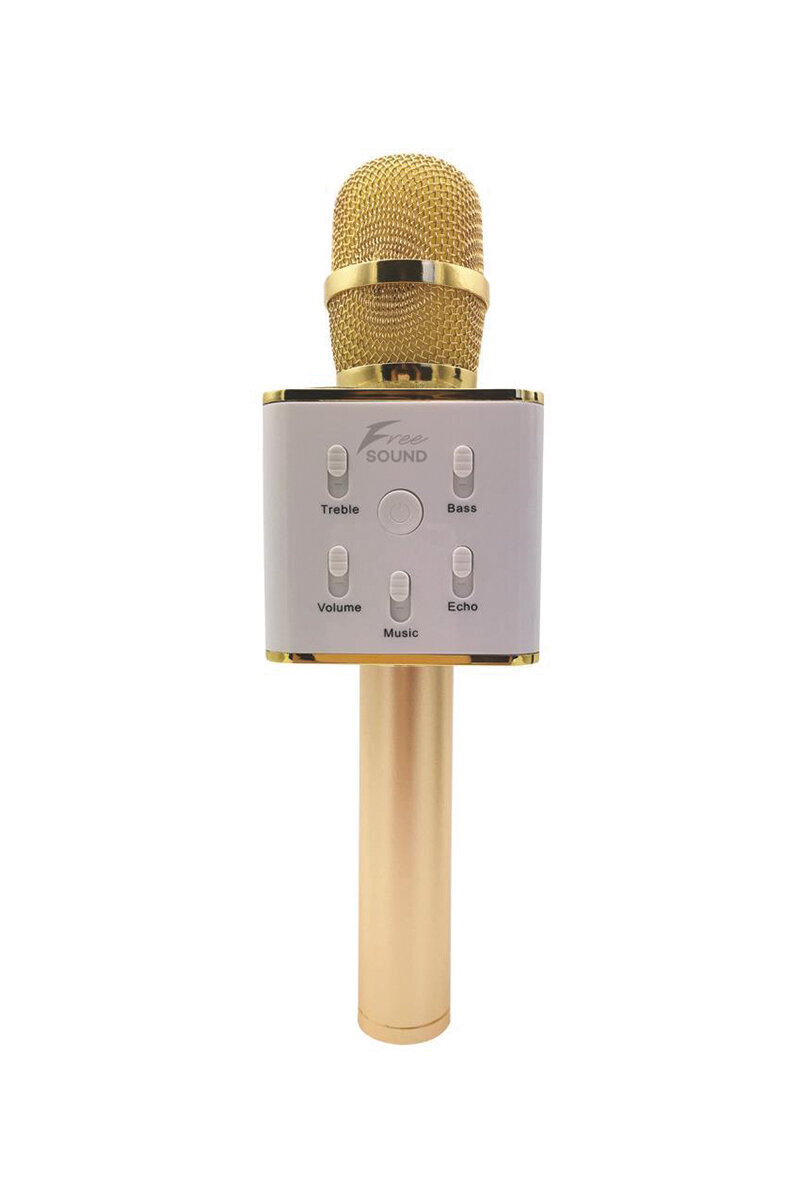 FreeSound Fs22 Karaoke Mikrofon Speaker Gold