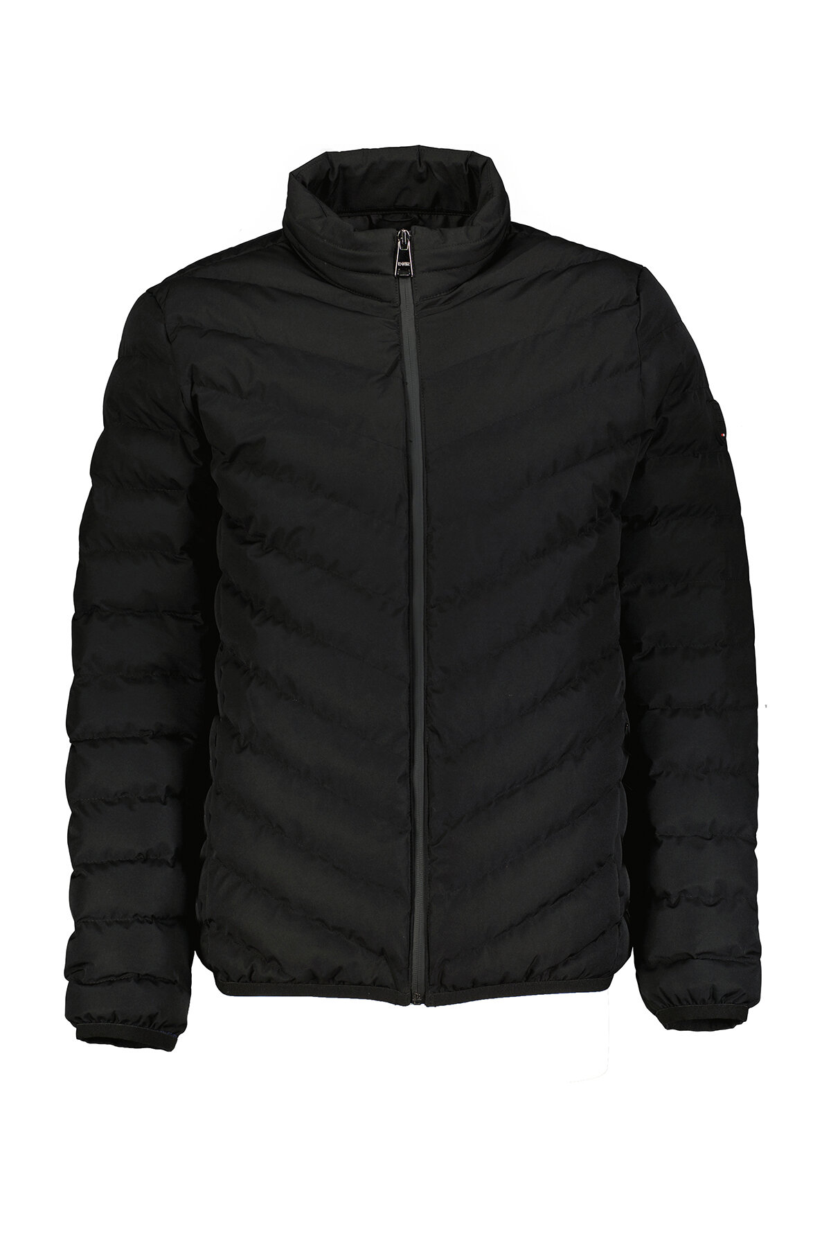 Diandor Erkek Mont 2329004