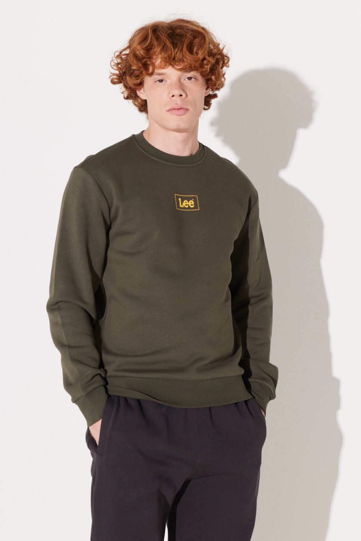 Lee Erkek Sweatshirt L212299801
