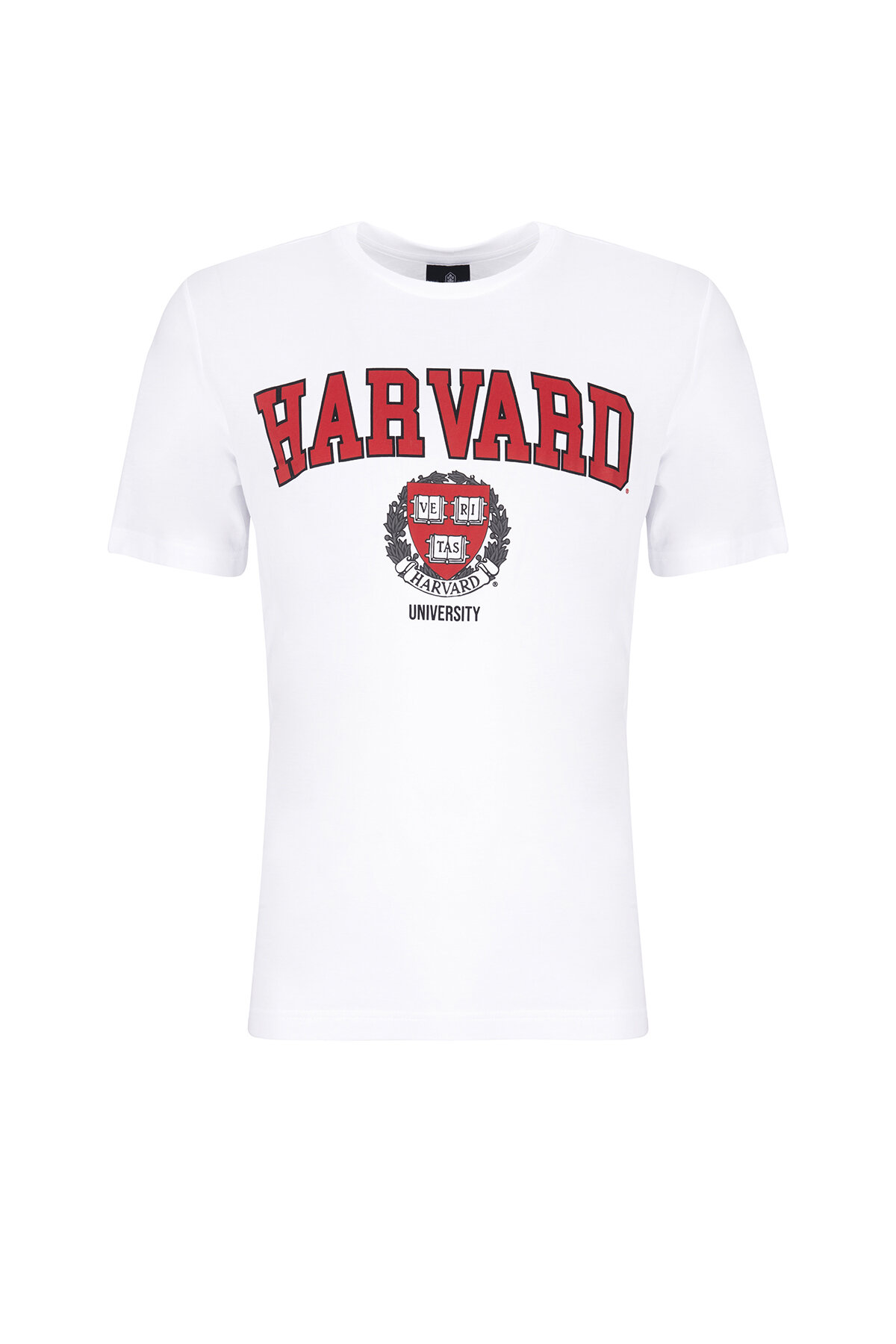 Lumberjack Erkek Tişört HARVARD LOGO TS