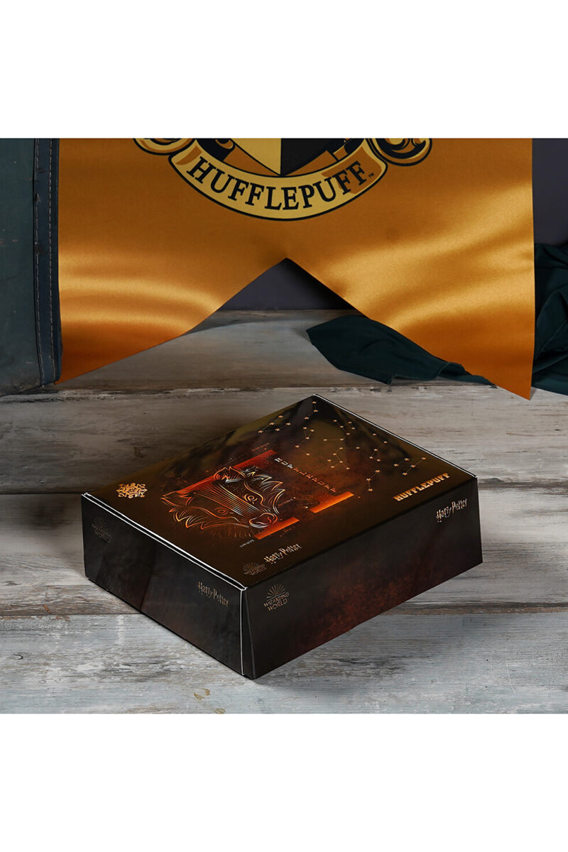 Wizarding World - Harry Potter Gift Box - Hufflepuff HB002