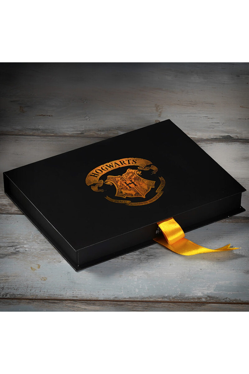 Wizarding World - Harry Potter - Hogwarts�a Davet Mektup Seti Leet001