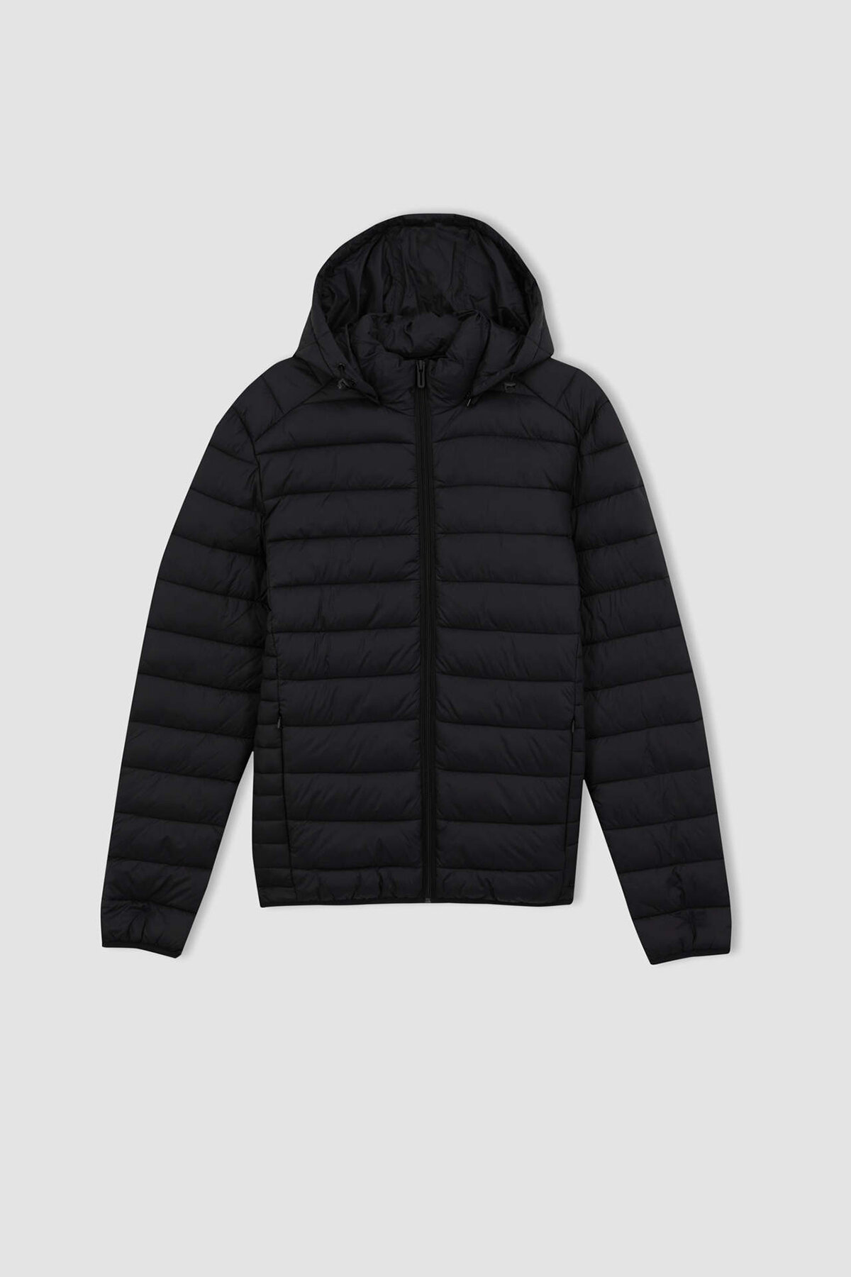 Defacto Erkek Mont N4661AZTRAZ