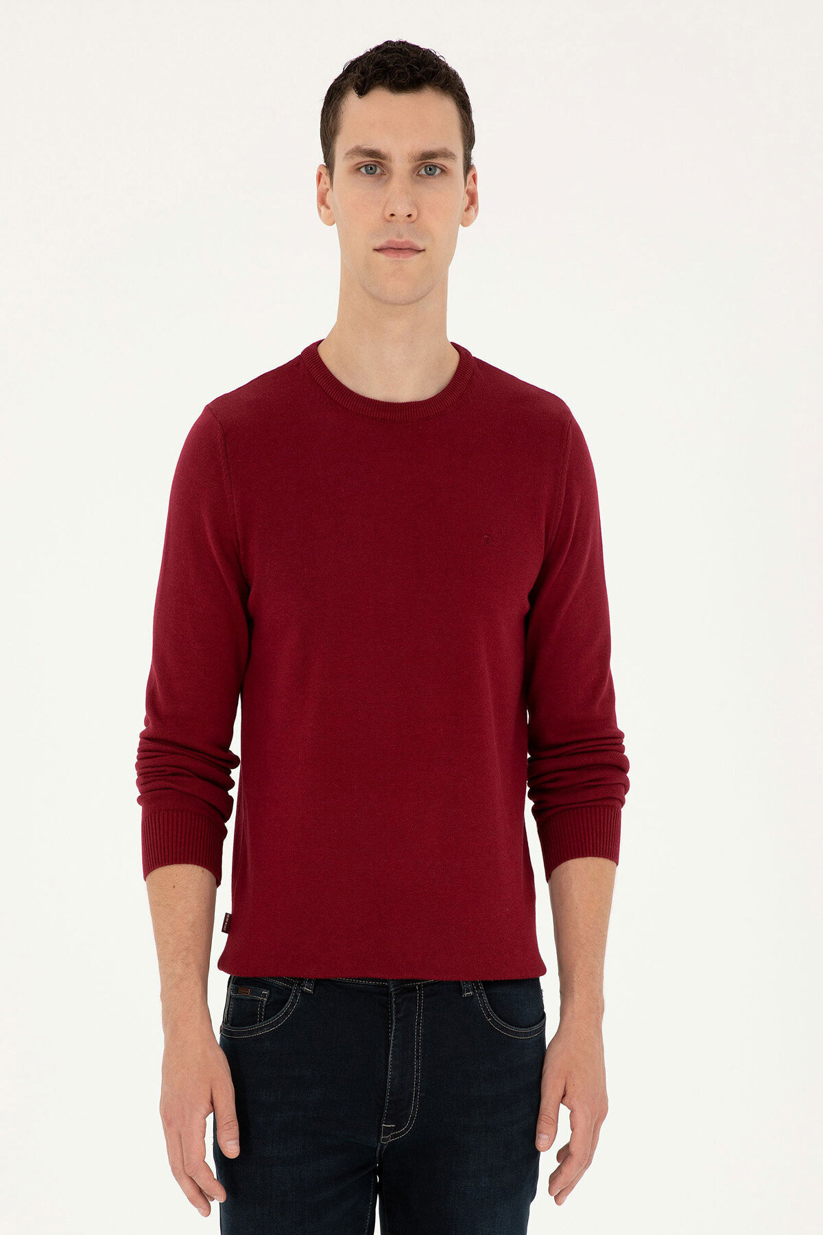 Pierre Cardin Erkek Triko 1989275