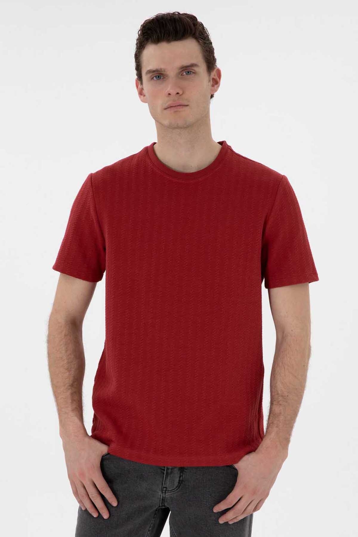 Pierre Cardin Erkek Tişört 2131604