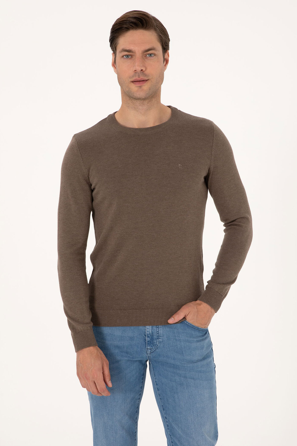 Pierre Cardin Erkek Triko 2320029