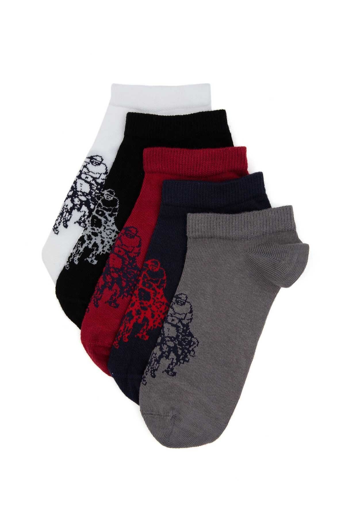 U.S. Polo Assn. Kadın 5'li Çorap LEKA5SK25.BYZ