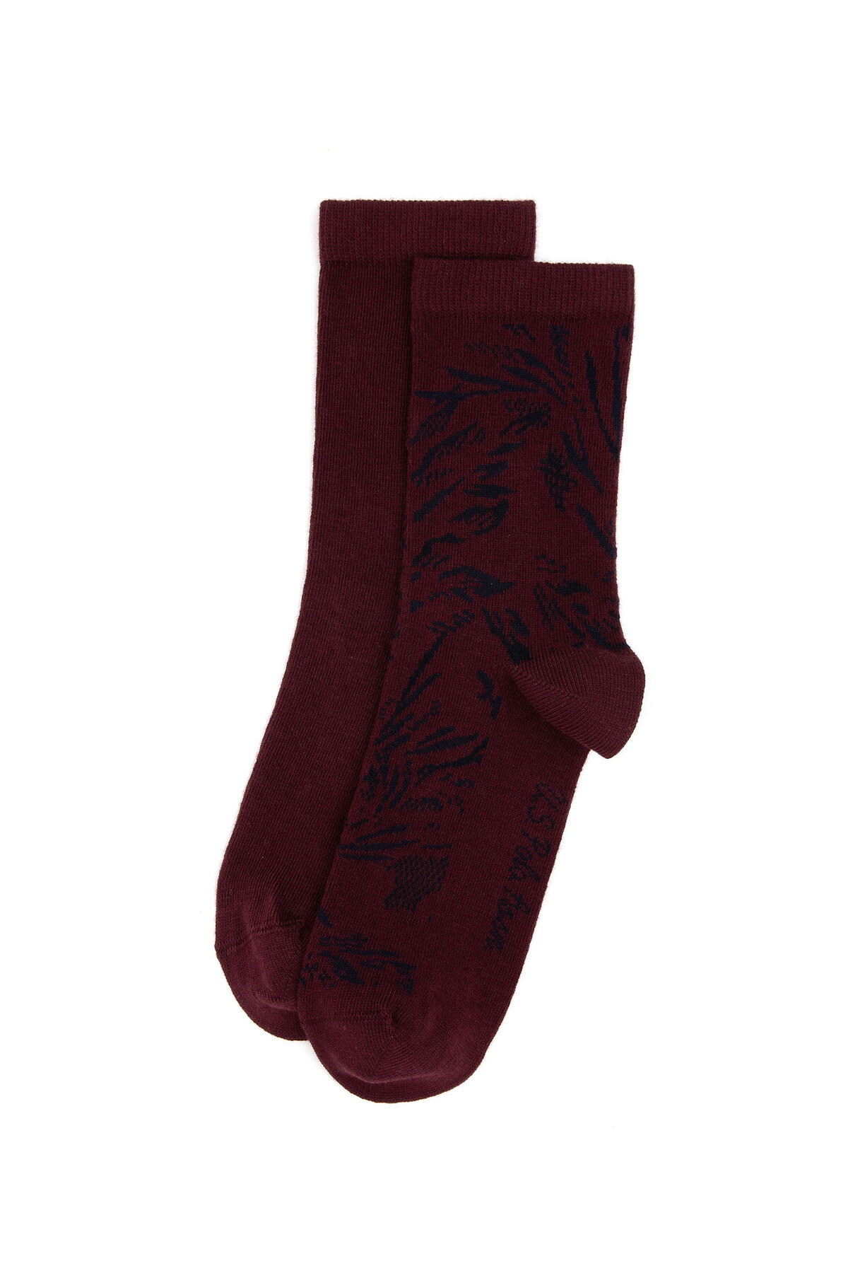 U.S. Polo Assn. Kadın 2'li Çorap EMMIC.BRD