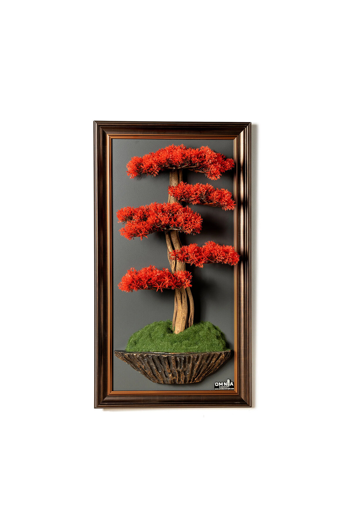 Omnia Bonsai Tablo BNSTBL061