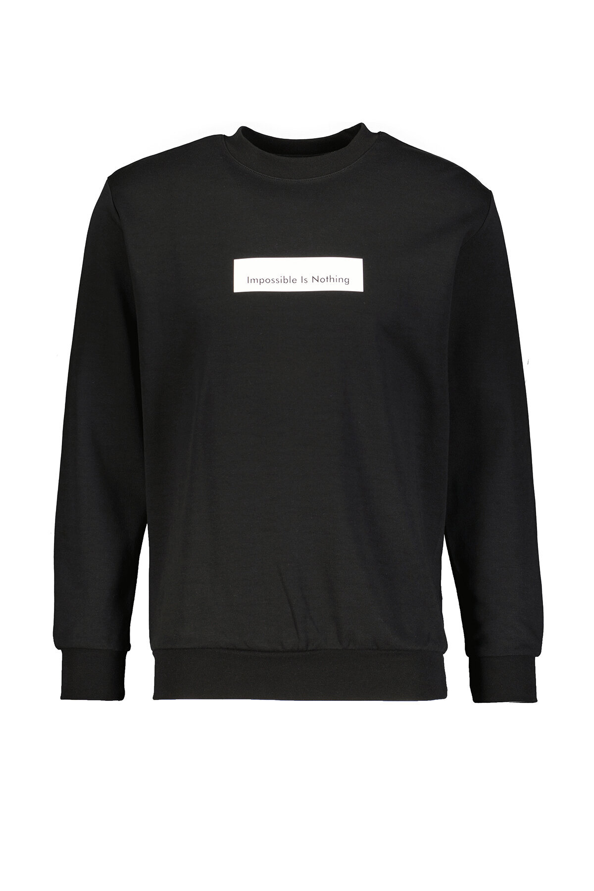 Diandor Erkek Sweatshirt 2425223