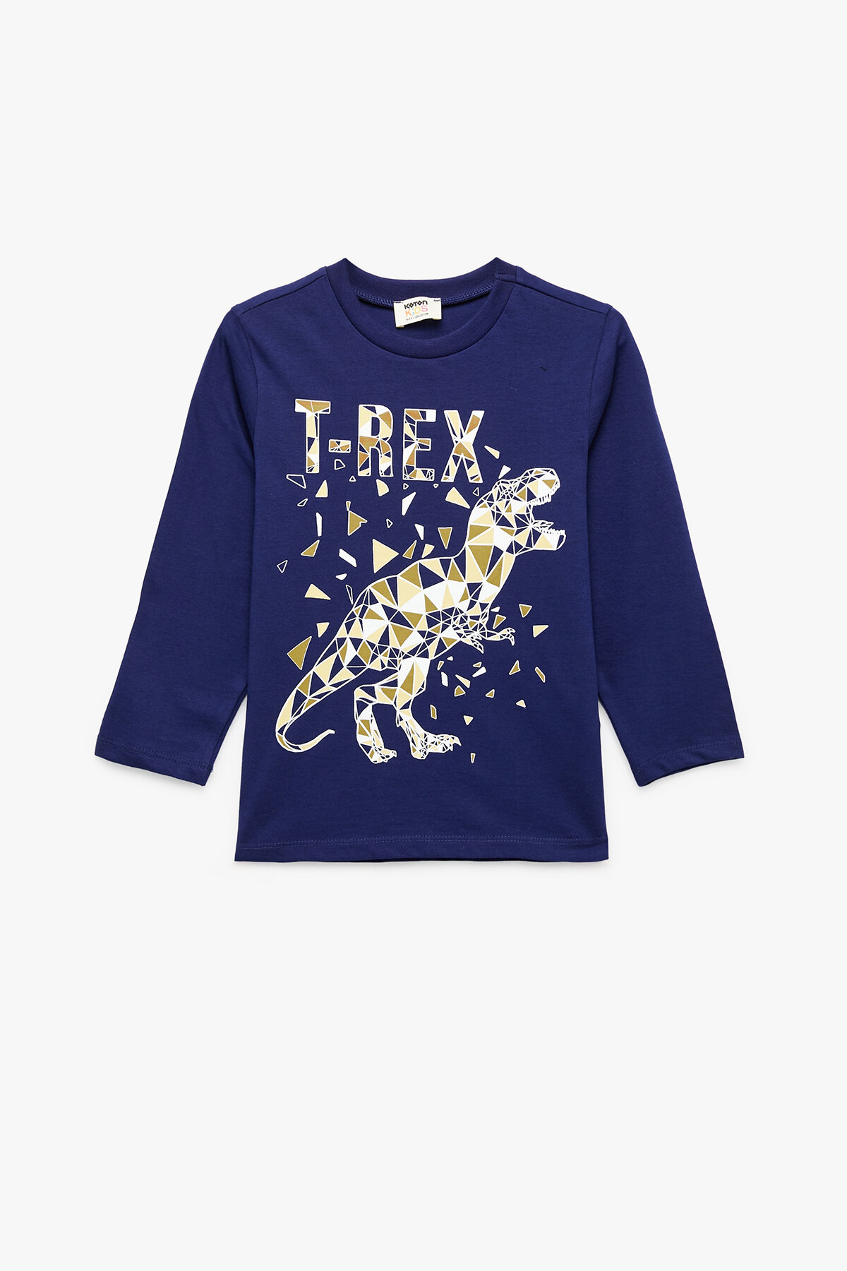 Koton Erkek Çocuk Tişört 6WKB10041TK