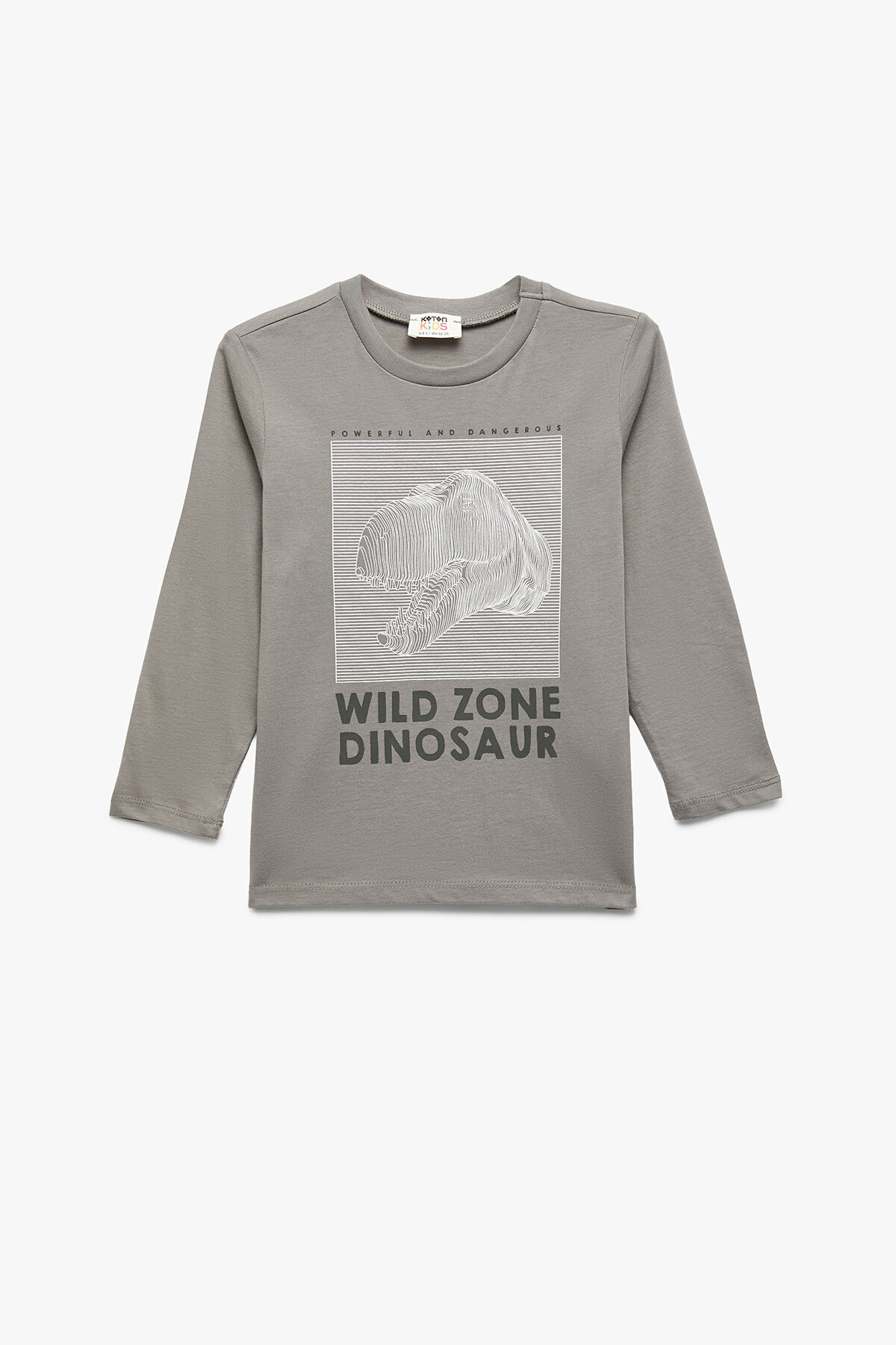 Koton Erkek Çocuk Tişört 6WKB10045TK