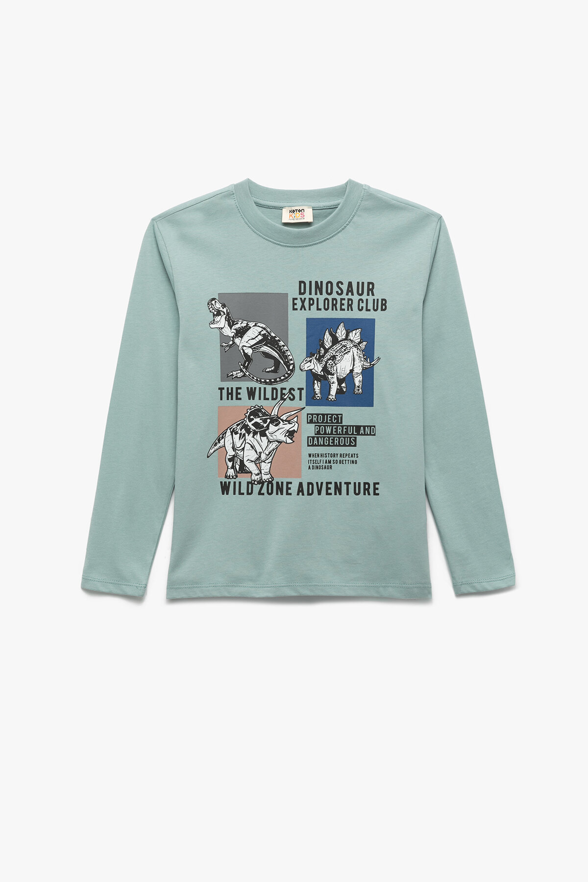 Koton Erkek Çocuk Tişört 6WKB10123TK