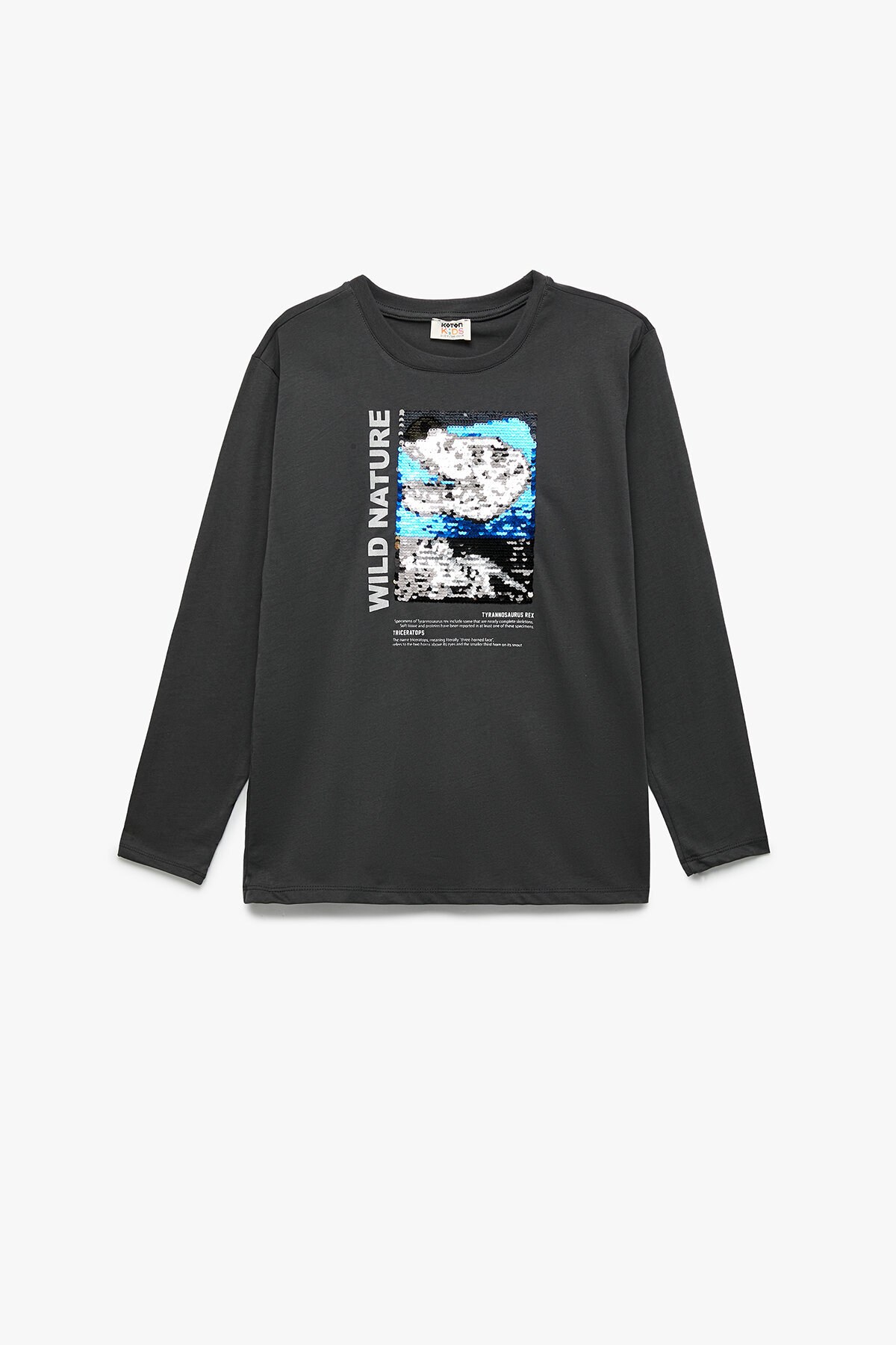 Koton Erkek Çocuk Tişört 6WKB10124TK