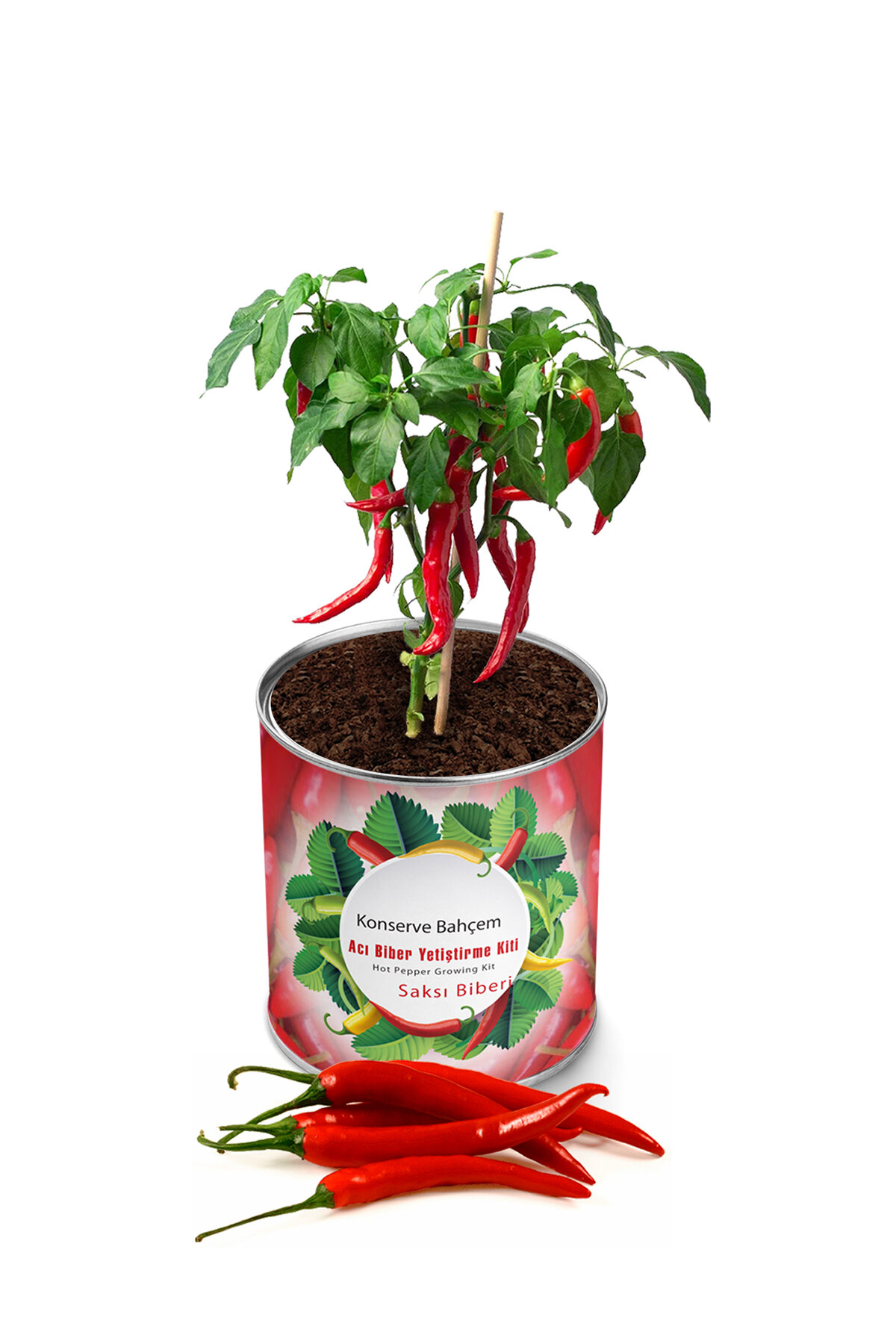Konserve Acı Biber Yetiştirme Kiti KB004