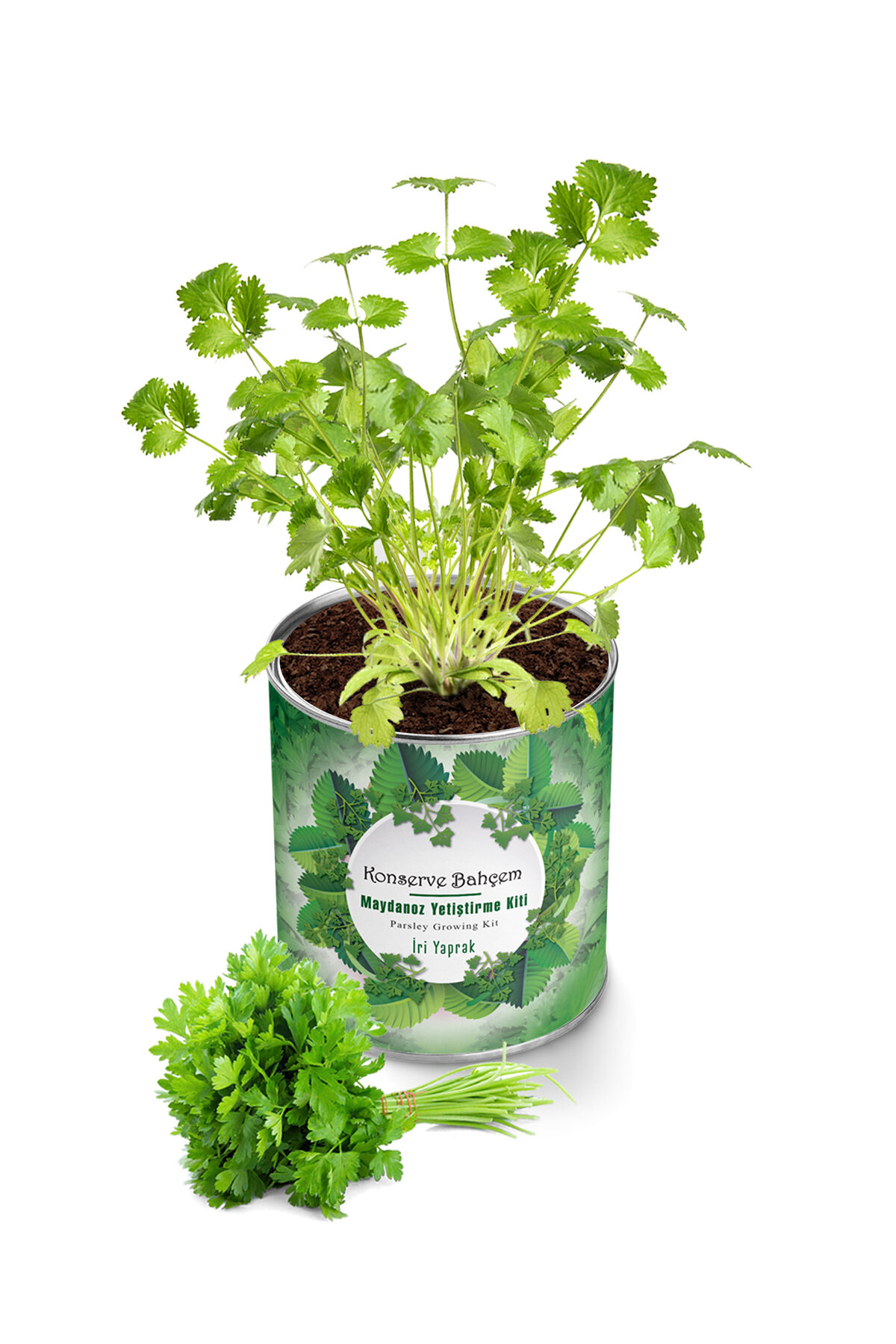 Konserve Maydanoz Yetiştirme Kiti KB005