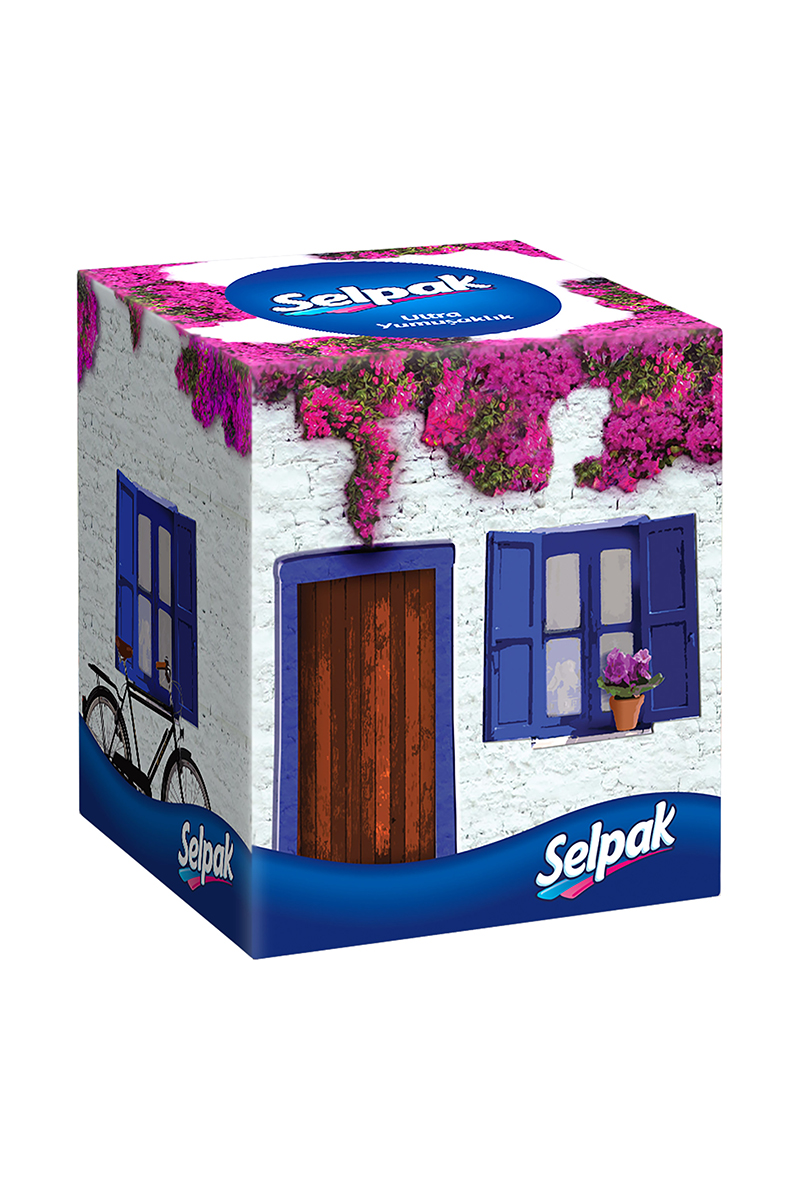 Selpak Kutu Mendil Butık 48'li