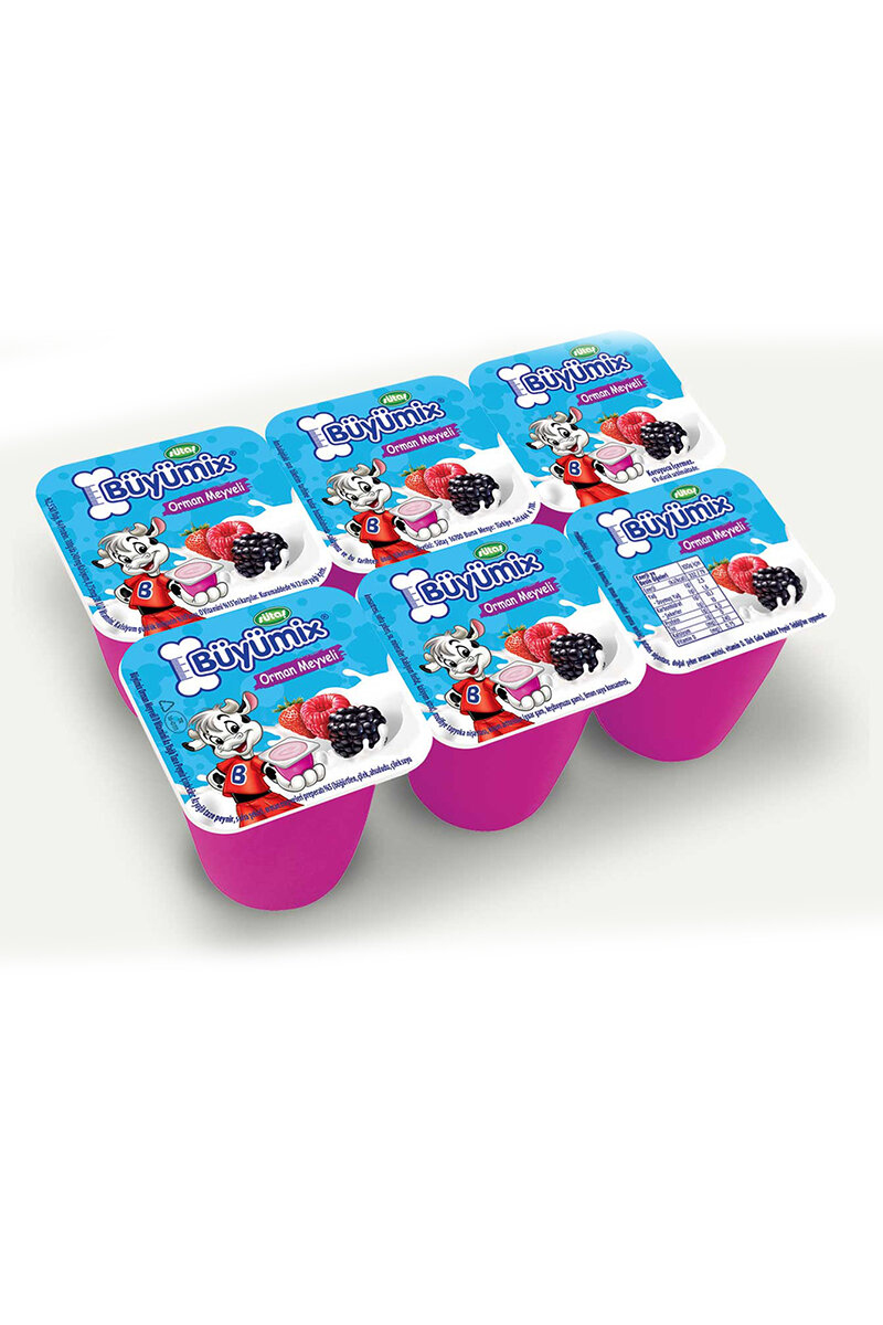 Sütaş Büyümix Orman Meyveli 6x40 G
