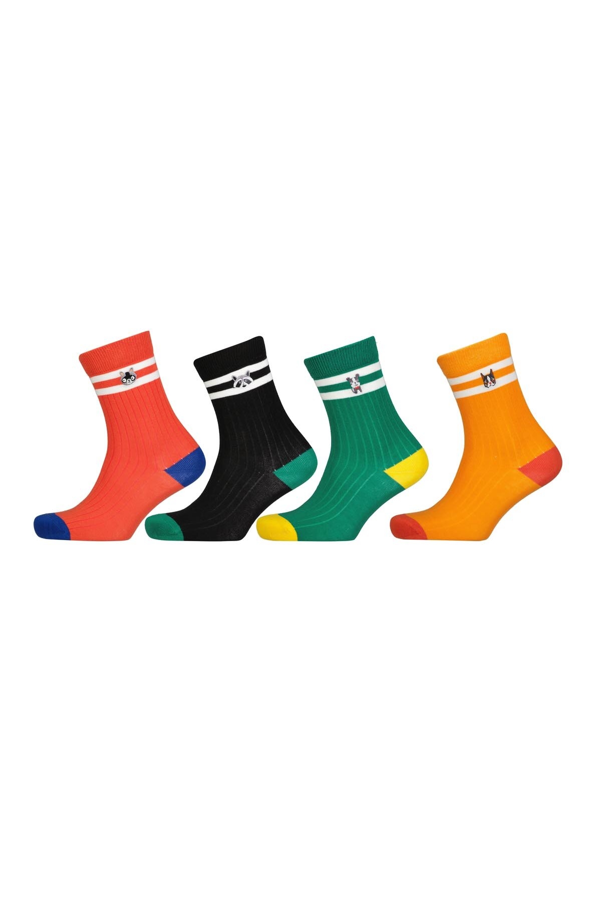 Katia&Bony Unisex 4'lü Soket Çorap 22201W3041.SYH