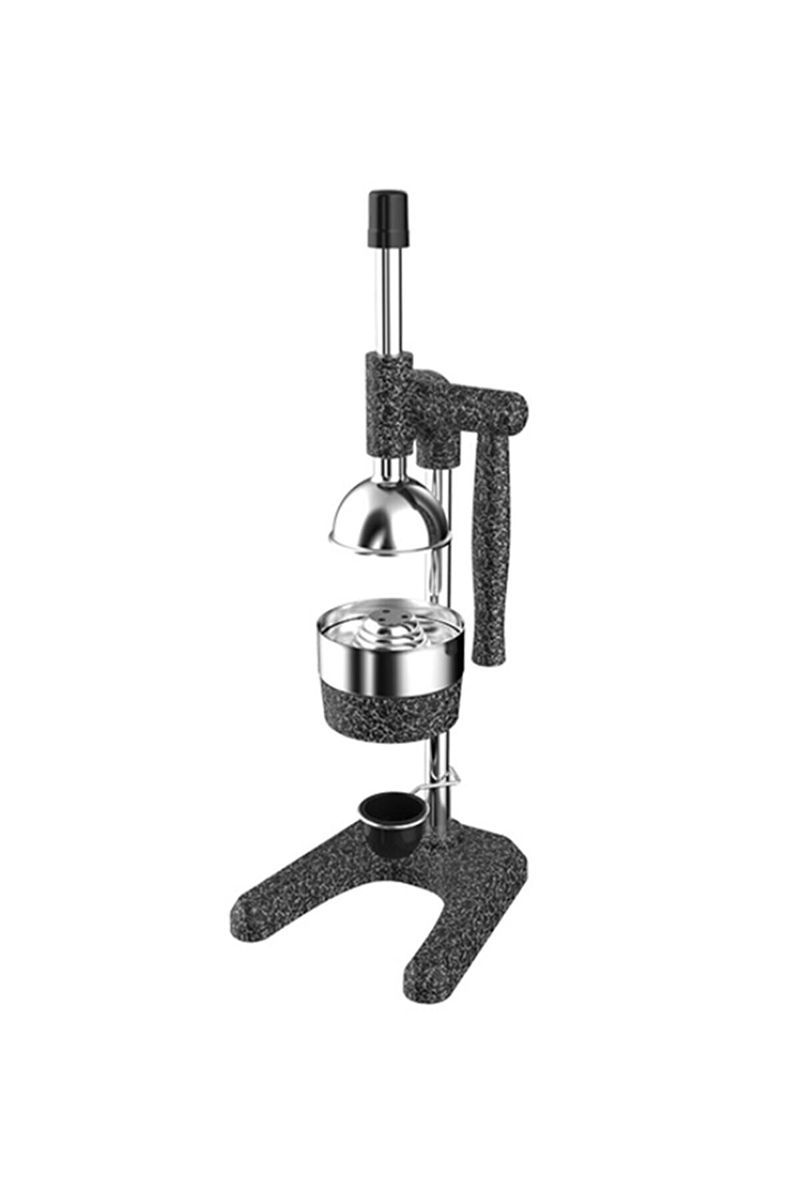 Kale Meyve Presi Sanayi Tipi 1701