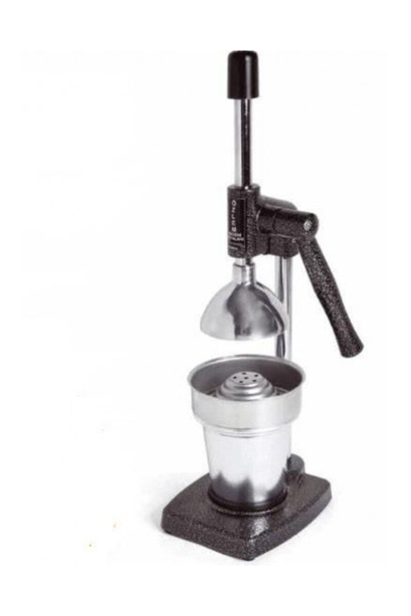 Kale Meyve Presi Ev Tipi