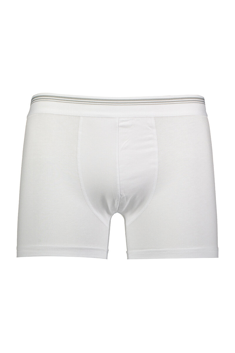 Yıldız Erkek Likralı Formen Boxer 365