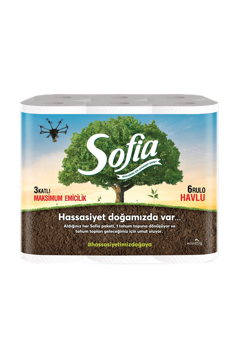 Sofia Kağıt Havlu 6'Lı