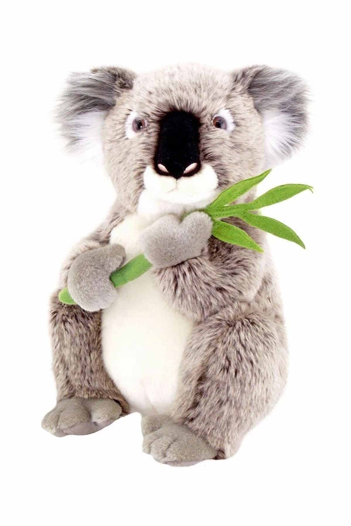 Animals of the World Koala Pelüş 36 cm